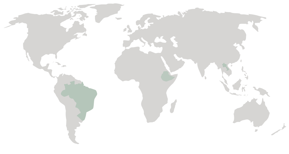 world map - brazil, ethiopia, laos